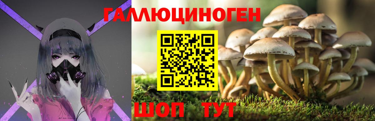 Галлюциногенные грибы мухоморы  Вход с VPN  Зеленодольск 